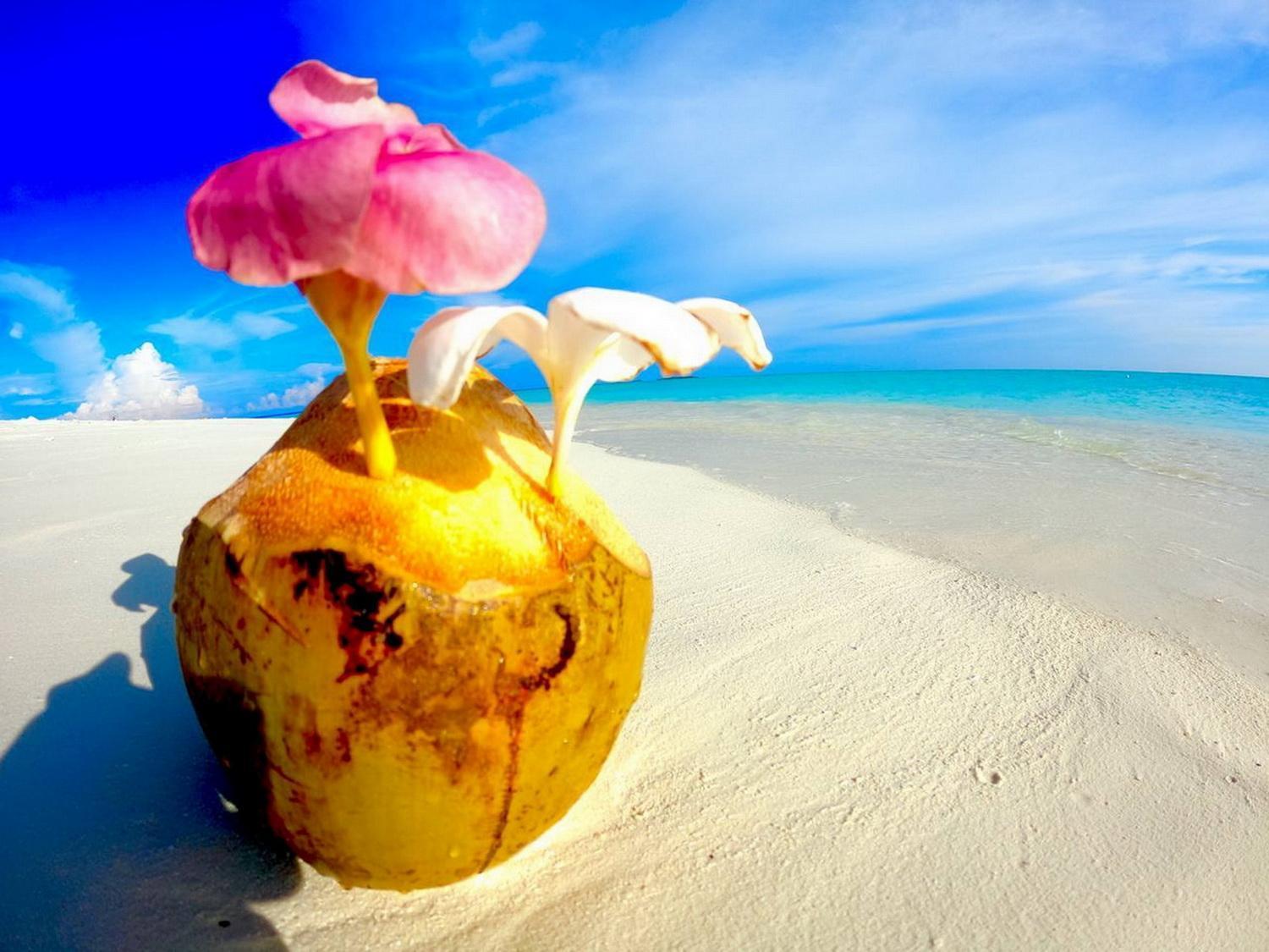 Wind Breeze Sunset View Inn Guraidhoo  Buitenkant foto